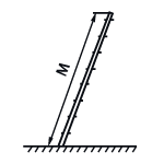 Длина секции (м)