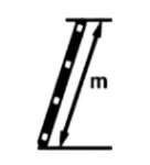 Длина секции (м)