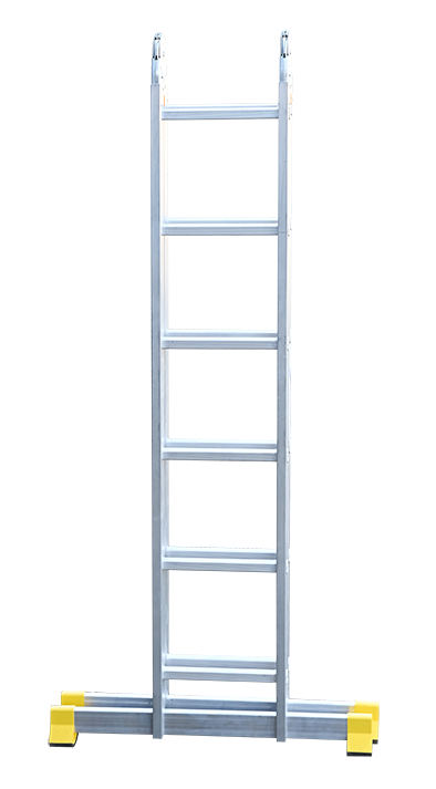T 206